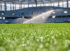 香港,年网站,流量排行榜,九游会备用官网,九游会最新资讯,九游会代理,九游会娱乐体验,九游会入口